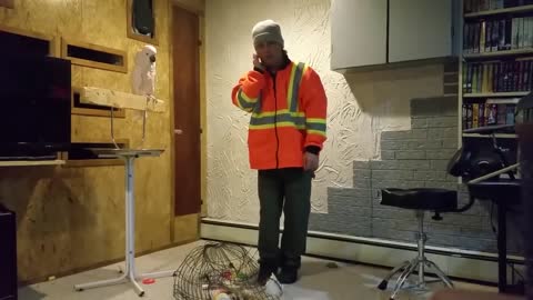 how to get parrot angry