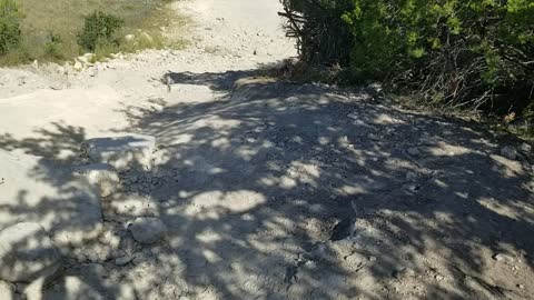 Son crawls up rocks in the xp4 1000