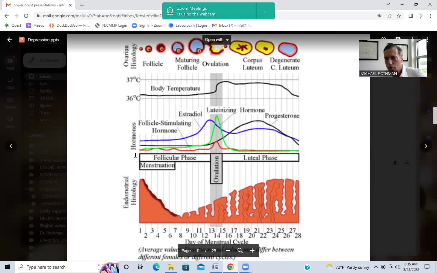 Metabolically Directed Approach to Depression