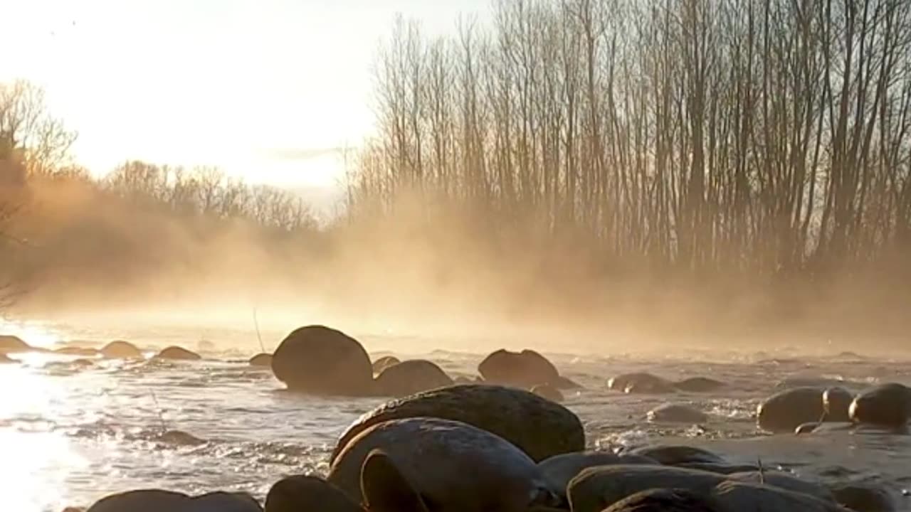 Beautiful Recitation of Surah Al-Falaq from the Quran
