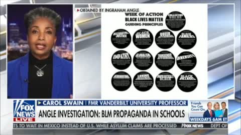 Guiding principle of BLM