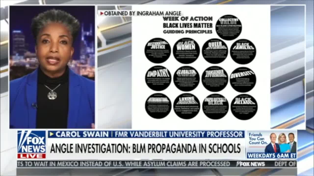 Guiding principle of BLM