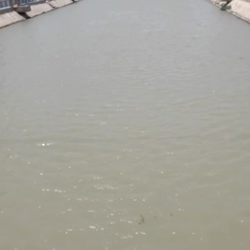 Iraq's armors within World Heritage