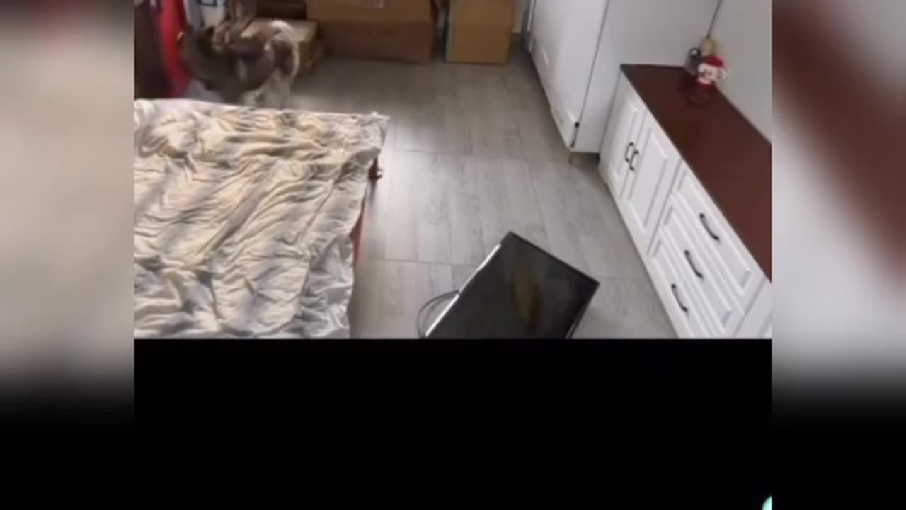 Dont trust any one