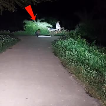 Ghost eating dead body