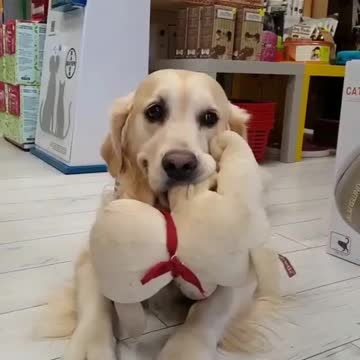 Hi Mom, I found my teddy, let’s go to the cashier line to buy it