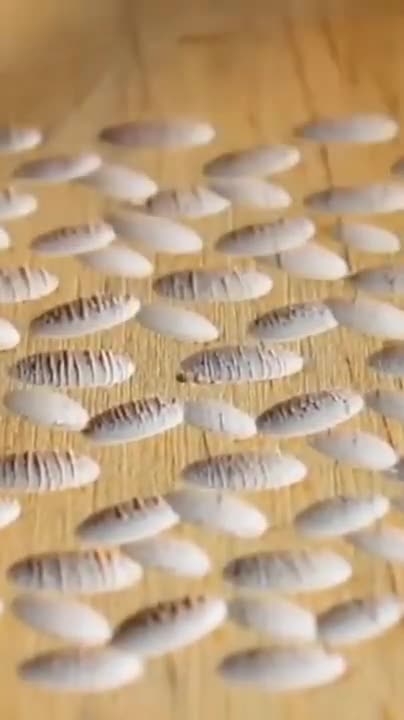 Creative Woodworking Projects