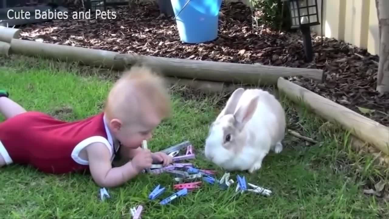 cutest kid with animals