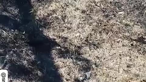 🇺🇦🇷🇺 Fragments of Ukrainian kamikaze drones on the territory of the Zaporozhye NPP