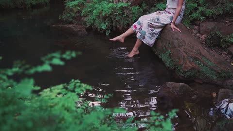 Lush Forests: A Walk Through Nature’s Heart