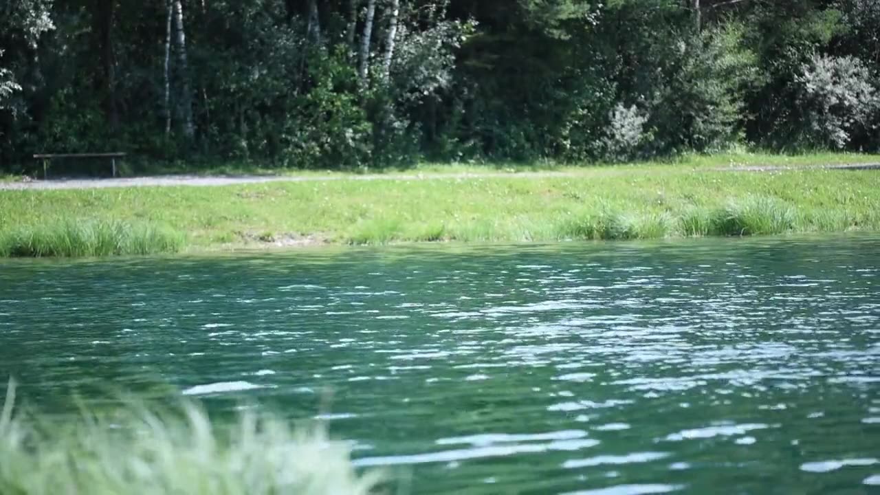 Pond On A Summer Day