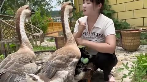 Young Lady & Pet Birds