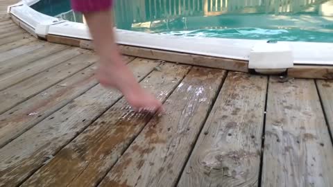 Epic Cats Hate Falling in Water