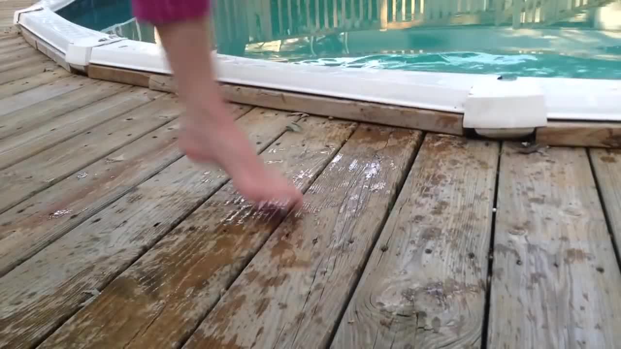 Epic Cats Hate Falling in Water