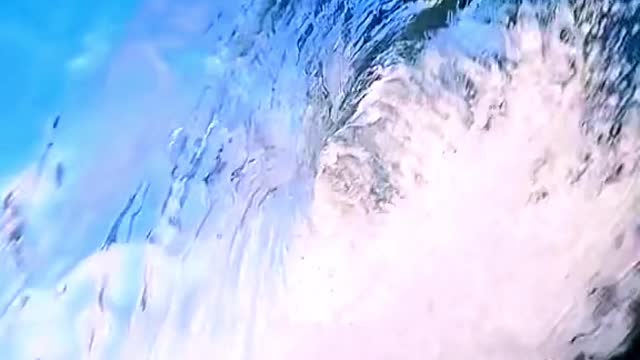 Enjoy the joy of the sea