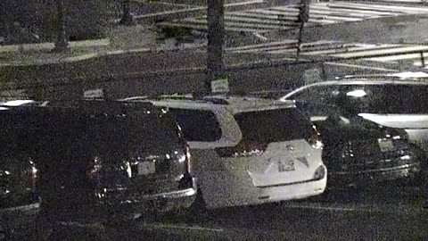 1906LOTS00Lot161st-DNE_2021-01-06_06h37min16s320ms.mp4