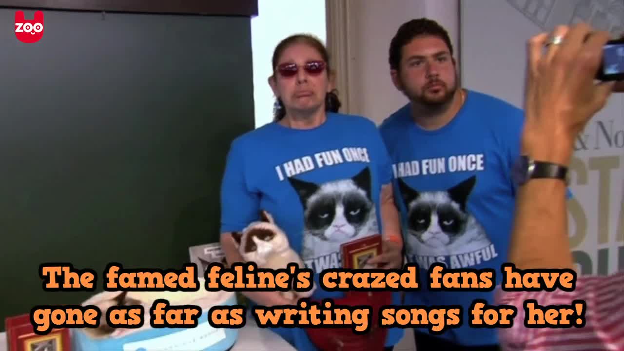 Grumpy Cat's Latest Book Singining In New York