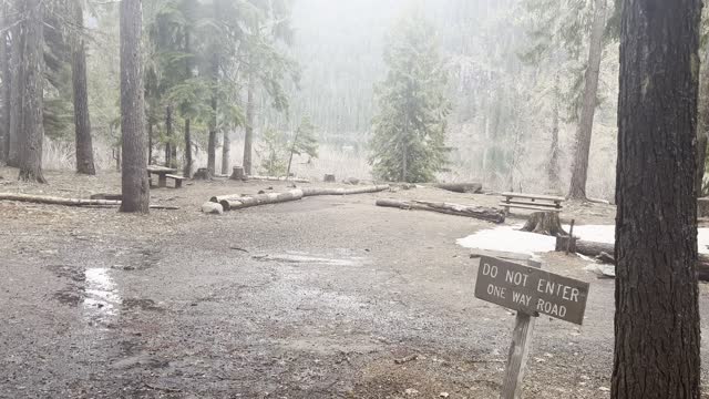 Hiking the Box Canyon Section of Kachess Lake Campground – Okanogan-Wenatchee – Washington – 4K
