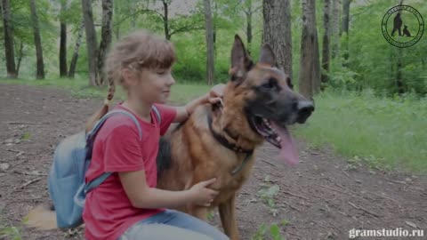 German Shepard Gilmore Saves Little Girl