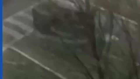 This trampoline is in a hurry😂