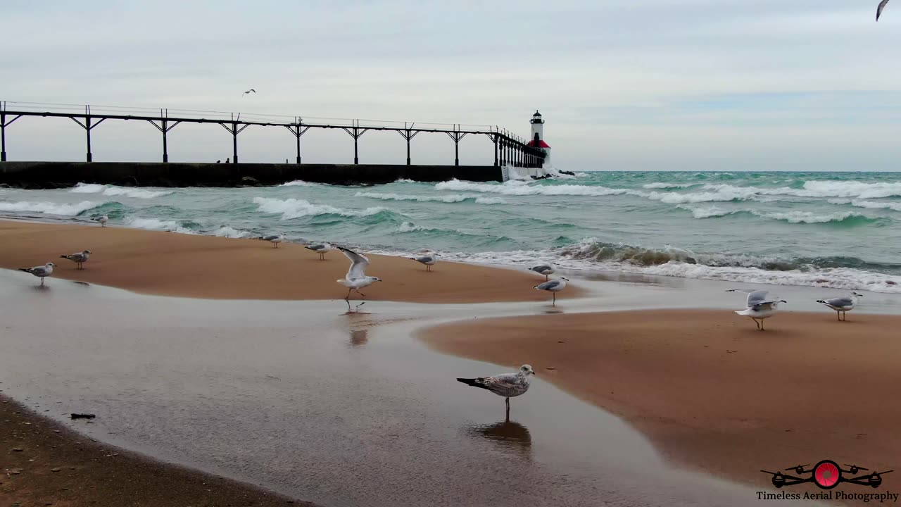 Relaxing Flight With The Birds As The Waves Crash 4K Drone Footage