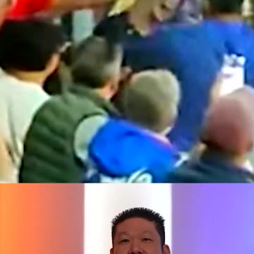 Former MLB Star Brawling At International Match