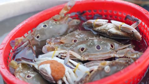 Extreme close-up view of crabs in a red plastic colander sold at the market