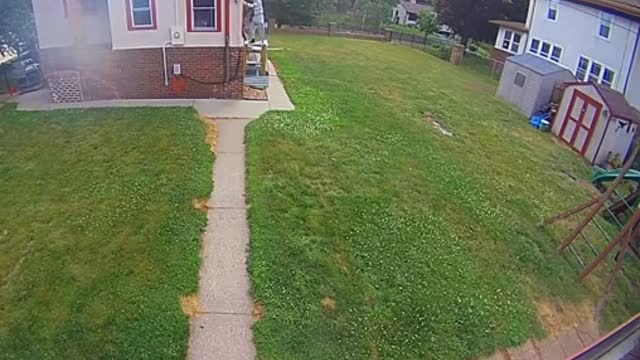 Man Climbing The Side Of A House To Break In Gets Instant Karma