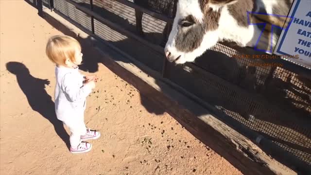 FORGET CATS! Funny KIDS vs ZOO ANIMALS are WAY FUNNIER! - TRY NOT TO LAUGH