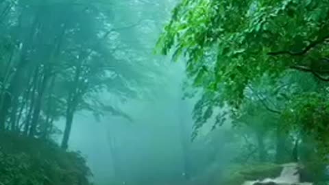 Get a little bit relax from listening this 🌬🌳