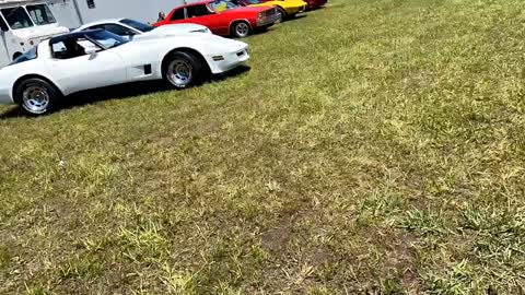 Cars for a show