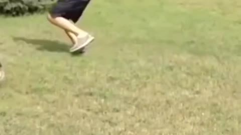 1 MINUTE! # 24 _ Dog Lovers _ 🤣 SHORT & FUNNY Videos #Shorts