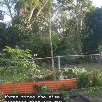 atmospheric (free) energy