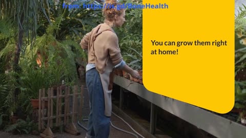 Strengthen Your Bones: The Ultimate Guide to Growing Your Own Leafy Greens!