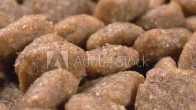 Dry pet food close up. 4K video. Super macro. Food for cats and dogs.