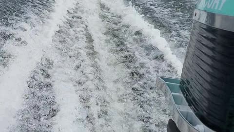Same-day second run the Old Mercury outboard.