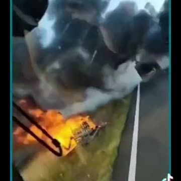 Blocking Roadways, Pouring Manure on Government Buildings: Dutch Farmers Are Taking All Means Necessary to Thwart the Agenda