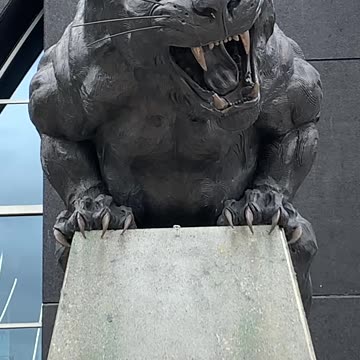MVPanther