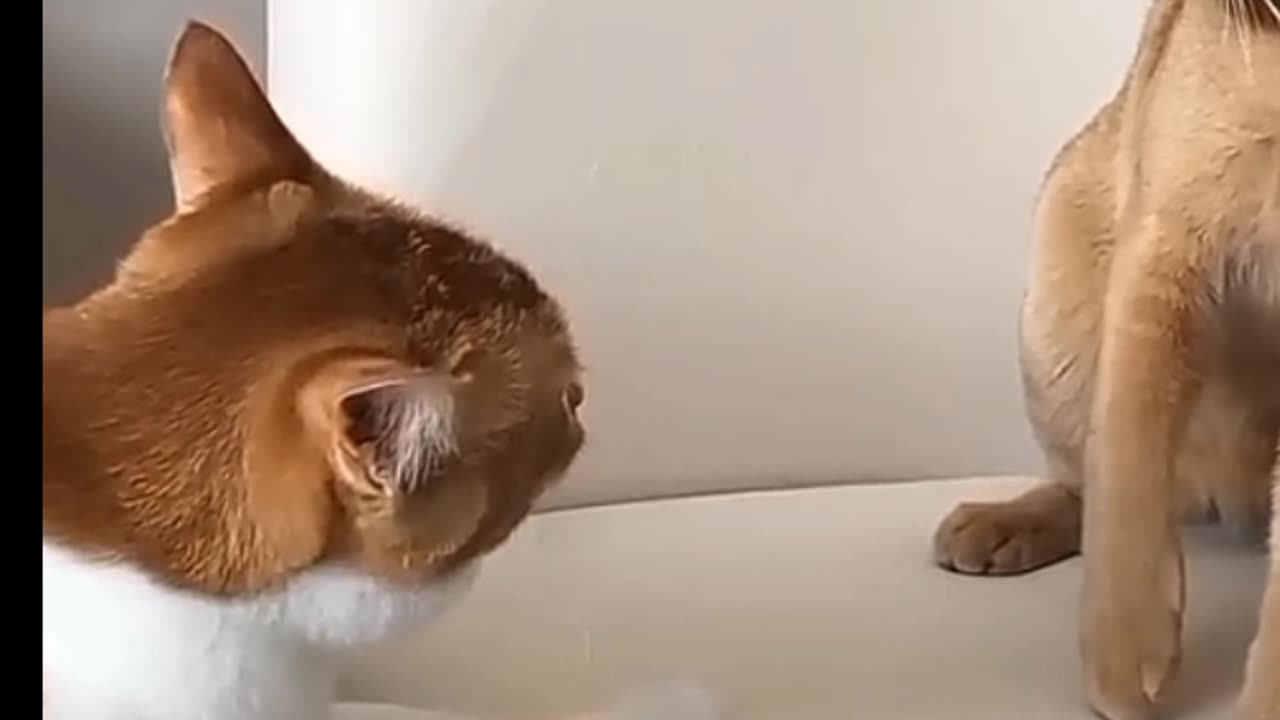 What happened