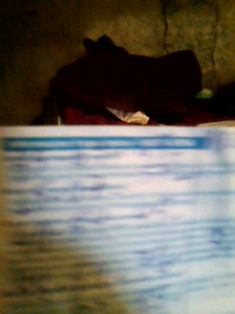 Aprendendo a jogar no bicho pt13