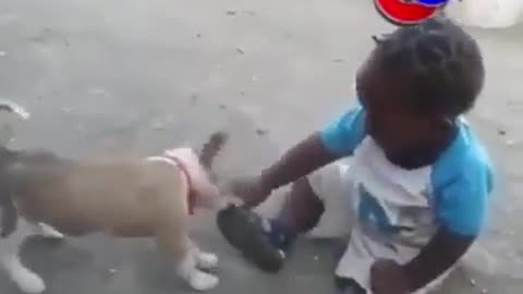 CRAZY FIGHT OF A DOG AND A KID THAT ENDED BOTH OF THEM CRYING