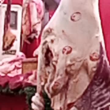 marchés ait Ourir 1