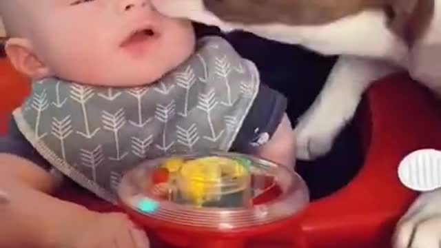 Funny Babies and Animals Video #THE BEST Adorable Baby and Animals Compilation #comedy