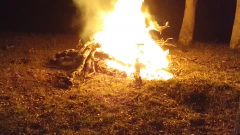 Just Chillin on the ranch.