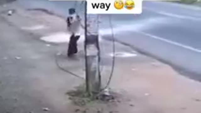 When god is tied of telling you to go to the other side, lolzzzz😁😁😁