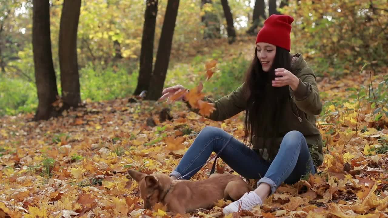 Hipster woman and dog playing with fallen leaves