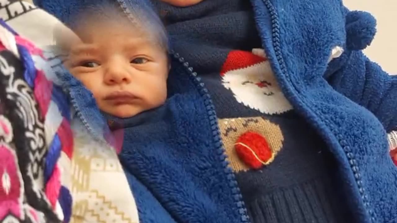 Babies lovers