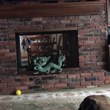 Pugs favorite movie!