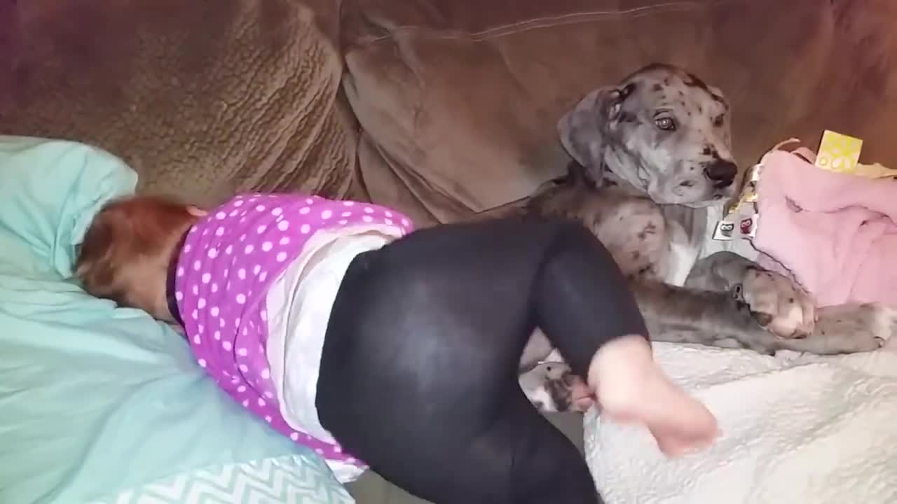 Babies and Dogs are Best friends | Playing together