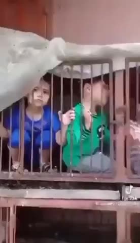 SAVAGE ANIMALS Hamas Terrorists 😡 They have kept Kidnapped Israeli children in cages.
